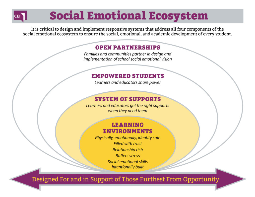 Social Emotional Ecosystem diagram